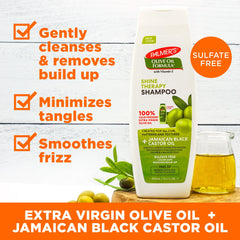 Olive Oil Shampoo